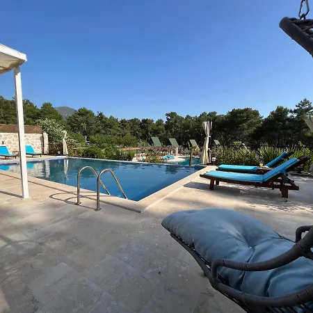 Magnificent With Private Pool In Nature For 6 People, Antalya - Awz 123 * Kaş